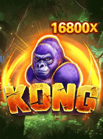 qq2 qq2